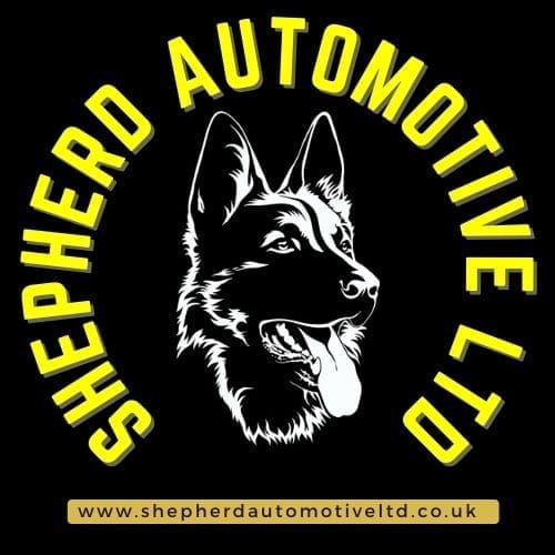 canidae Canidae - Dog