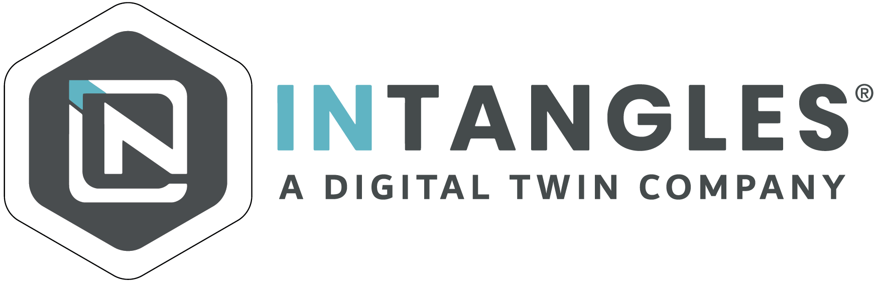 Intangles-Logo-Grey-H_india-2 Design - Graphic design